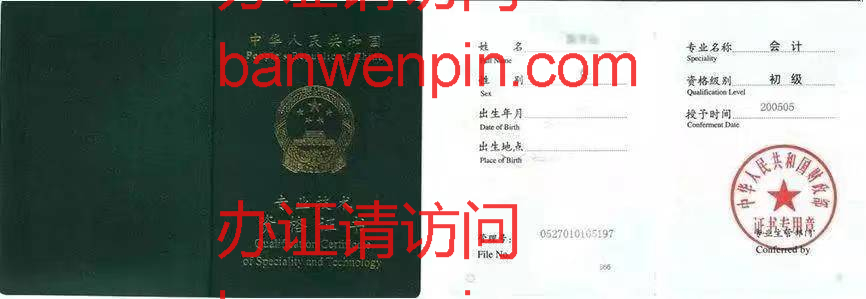 专业技术资格证书(2)样本