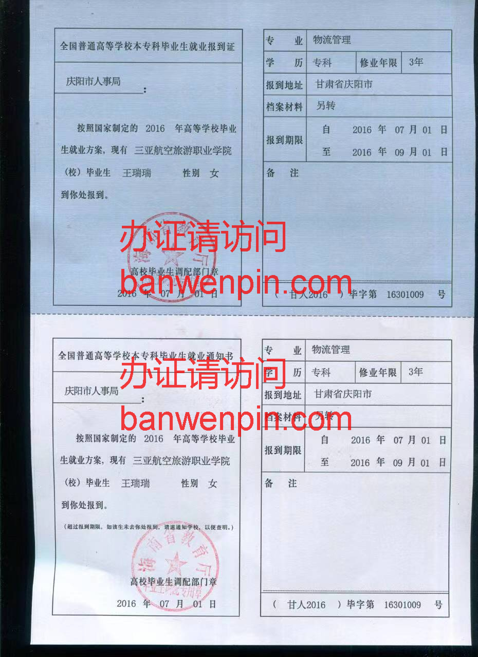 专科毕业生就业报到样本