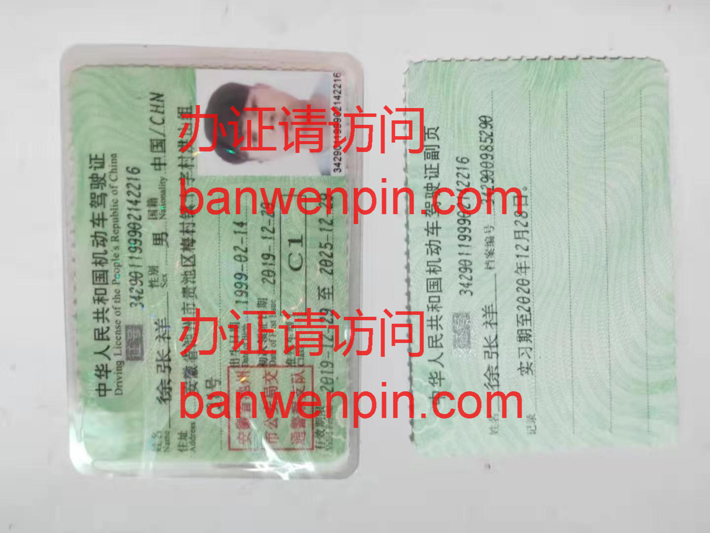 驾驶证样本